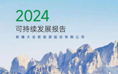 大全能源2024年度可持續發展報告